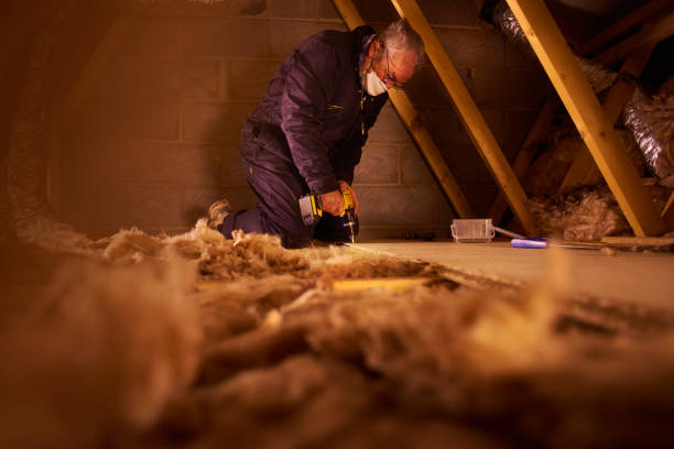 Best Residential Insulation in Dulce, NM